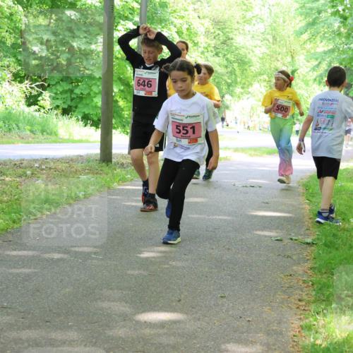 17.05.2025 - Störlauf Strokosch-Dieckow http://msf.ph/oto/7849681 17.05.2025 13:55:33 Laufen 646, 551, 500, 25 meine-sportfotos.de