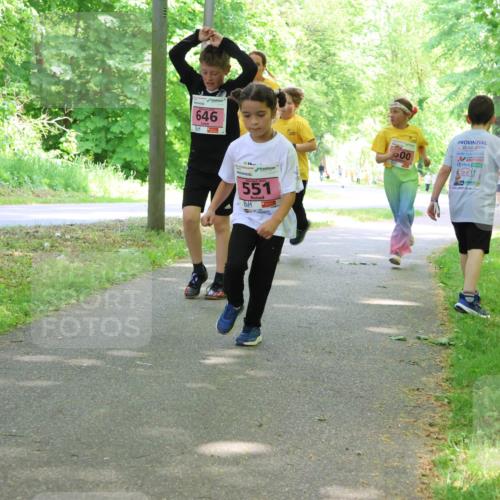 17.05.2025 - Störlauf Strokosch-Dieckow http://msf.ph/oto/7849683 17.05.2025 13:55:33 Laufen 646, 551, 500, 25 meine-sportfotos.de