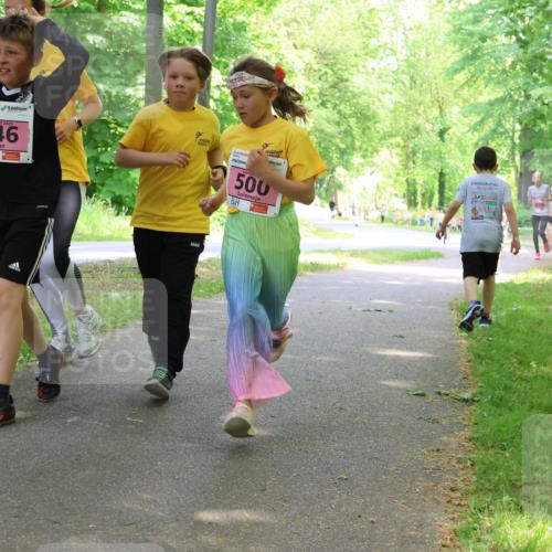 17.05.2025 - Störlauf Strokosch-Dieckow http://msf.ph/oto/7849688 17.05.2025 13:55:35 Laufen 646, 500 meine-sportfotos.de
