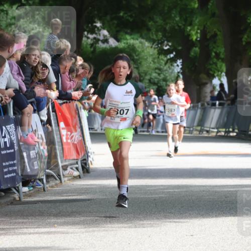 17.05.2025 - Störlauf Strokosch-Dieckow http://msf.ph/oto/7849695 17.05.2025 14:39:03 Ziel 25524, 307, 1287 meine-sportfotos.de