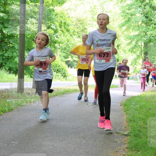17.05.2025 - Störlauf Strokosch-Dieckow http://msf.ph/oto/7849713 17.05.2025 13:55:42 Laufen 91, 144, 492, 677, 656, 593, 65 meine-sportfotos.de