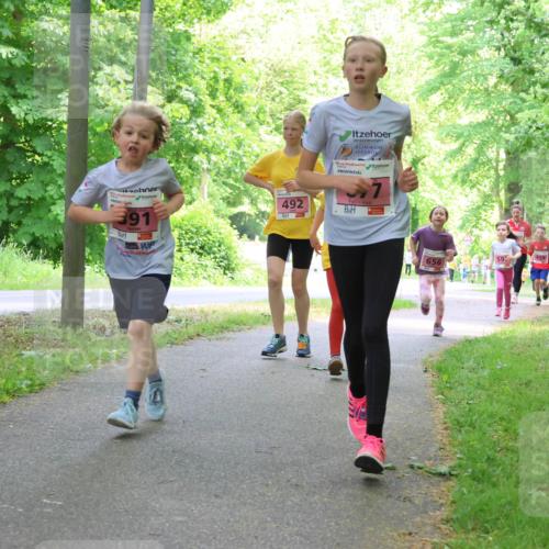 17.05.2025 - Störlauf Strokosch-Dieckow http://msf.ph/oto/7849715 17.05.2025 13:55:43 Laufen 391, 492, 7, 659, 59, 656 meine-sportfotos.de