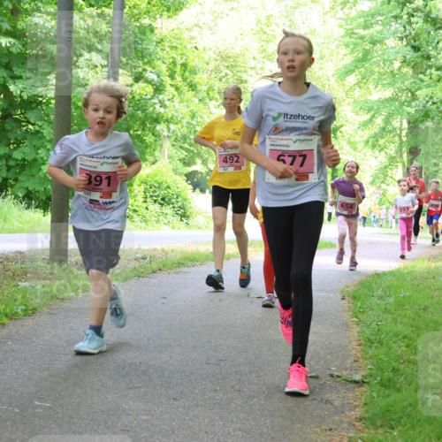 17.05.2025 - Störlauf Strokosch-Dieckow http://msf.ph/oto/7849716 17.05.2025 13:55:43 Laufen 391, 492, 577, 656, 593 meine-sportfotos.de