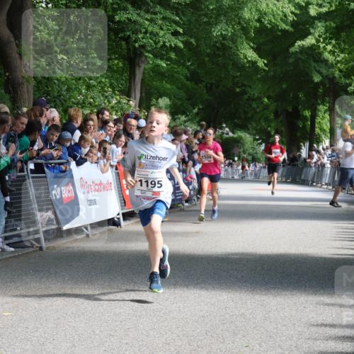 17.05.2025 - Störlauf Strokosch-Dieckow http://msf.ph/oto/7849720 17.05.2025 14:39:29 Ziel 1195, 1508 meine-sportfotos.de