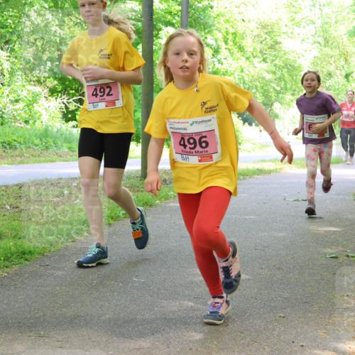 17.05.2025 - Störlauf Strokosch-Dieckow http://msf.ph/oto/7849727 17.05.2025 13:55:45 Laufen 492, 2025, 496, 66, 659, 593 meine-sportfotos.de