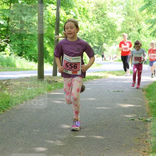 17.05.2025 - Störlauf Strokosch-Dieckow http://msf.ph/oto/7849729 17.05.2025 13:55:46 Laufen 656, 665, 593, 659, 661 meine-sportfotos.de