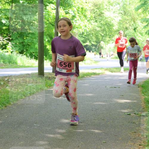 17.05.2025 - Störlauf Strokosch-Dieckow http://msf.ph/oto/7849731 17.05.2025 13:55:46 Laufen 2025, 656, 665, 593, 659, 661 meine-sportfotos.de