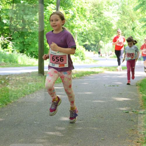 17.05.2025 - Störlauf Strokosch-Dieckow http://msf.ph/oto/7849733 17.05.2025 13:55:46 Laufen 2025, 656, 593, 661 meine-sportfotos.de