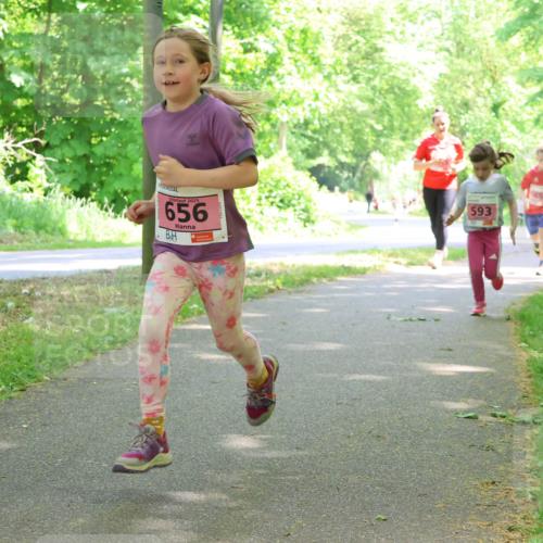 17.05.2025 - Störlauf Strokosch-Dieckow http://msf.ph/oto/7849735 17.05.2025 13:55:46 Laufen 2025, 656, 593, 659, 661 meine-sportfotos.de