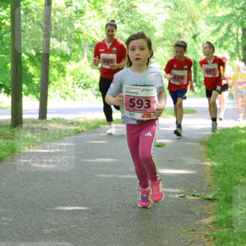 17.05.2025 - Störlauf Strokosch-Dieckow http://msf.ph/oto/7849737 17.05.2025 13:55:48 Laufen 665, 2025, 593, 661, 659 meine-sportfotos.de