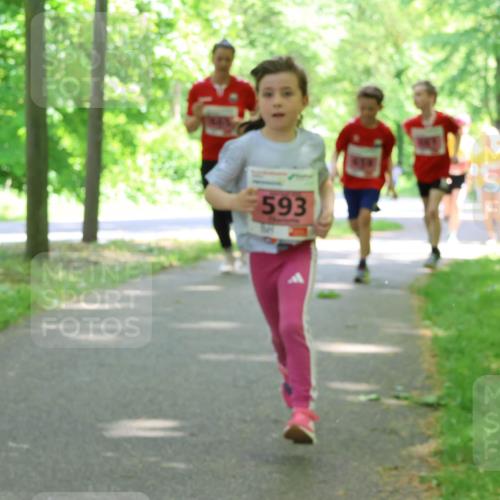 17.05.2025 - Störlauf Strokosch-Dieckow http://msf.ph/oto/7849739 17.05.2025 13:55:48 Laufen 593 meine-sportfotos.de