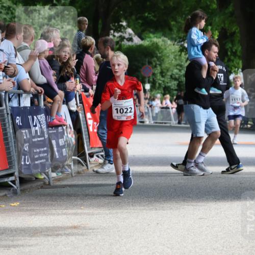 17.05.2025 - Störlauf Strokosch-Dieckow http://msf.ph/oto/7849740 17.05.2025 14:39:45 Ziel 4, 7, 25524, 1022, 1113 meine-sportfotos.de