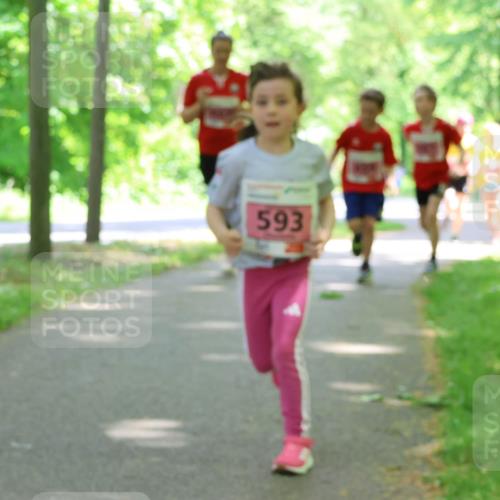 17.05.2025 - Störlauf Strokosch-Dieckow http://msf.ph/oto/7849741 17.05.2025 13:55:48 Laufen 593 meine-sportfotos.de