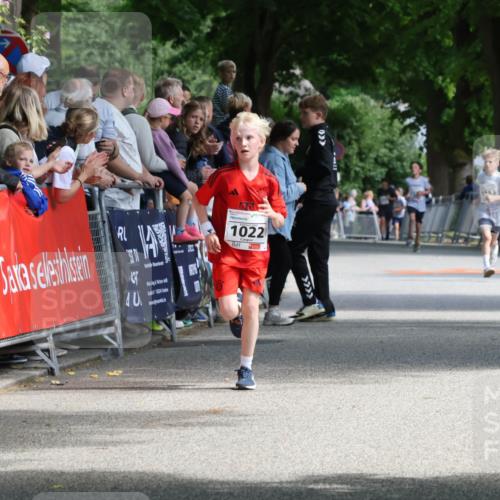 17.05.2025 - Störlauf Strokosch-Dieckow http://msf.ph/oto/7849742 17.05.2025 14:39:46 Ziel 1022, 40, 2524 meine-sportfotos.de
