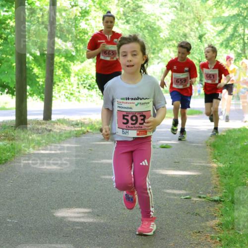 17.05.2025 - Störlauf Strokosch-Dieckow http://msf.ph/oto/7849743 17.05.2025 13:55:48 Laufen 665, 2025, 593, 661, 659 meine-sportfotos.de