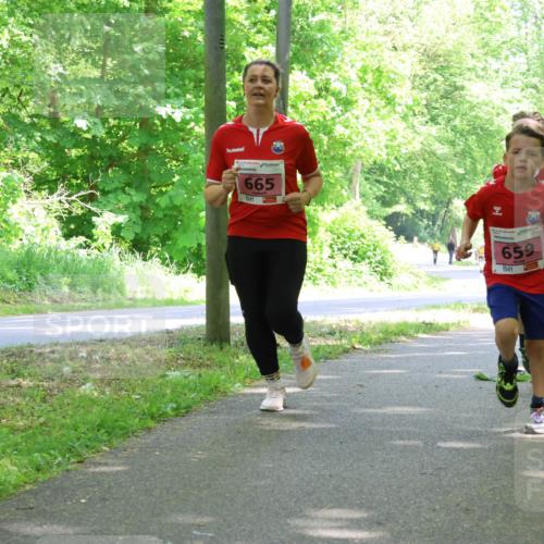 17.05.2025 - Störlauf Strokosch-Dieckow http://msf.ph/oto/7849746 17.05.2025 13:55:50 Laufen 665, 659, 50, 539 meine-sportfotos.de