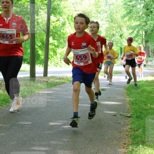 17.05.2025 - Störlauf Strokosch-Dieckow http://msf.ph/oto/7849750 17.05.2025 13:55:50 Laufen 2025, 665, 2025, 659, 50, 539, 662 meine-sportfotos.de