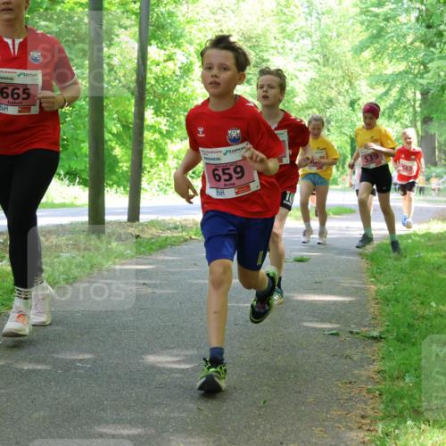 17.05.2025 - Störlauf Strokosch-Dieckow http://msf.ph/oto/7849752 17.05.2025 13:55:50 Laufen 665, 659, 70, 539, 562 meine-sportfotos.de