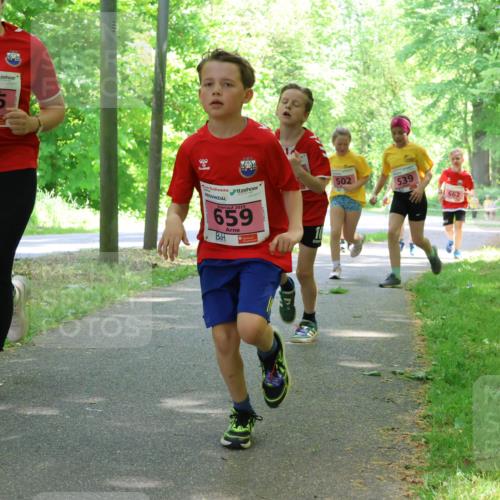 17.05.2025 - Störlauf Strokosch-Dieckow http://msf.ph/oto/7849757 17.05.2025 13:55:51 Laufen 2025, 65, 2025, 659, 502, 539, 662 meine-sportfotos.de