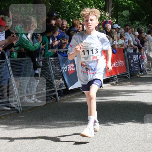 17.05.2025 - Störlauf Strokosch-Dieckow http://msf.ph/oto/7849758 17.05.2025 14:39:56 Ziel 1113, 3, 40, 15 meine-sportfotos.de