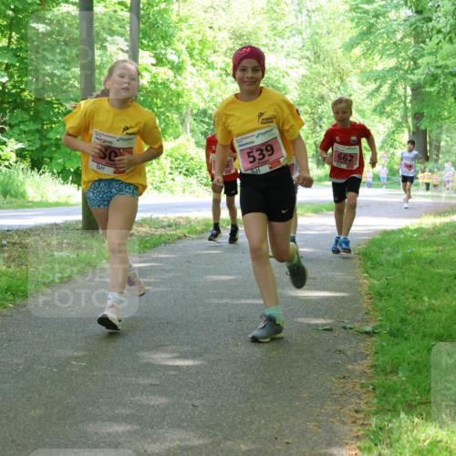 17.05.2025 - Störlauf Strokosch-Dieckow http://msf.ph/oto/7849759 17.05.2025 13:55:53 Laufen 539, 662 meine-sportfotos.de