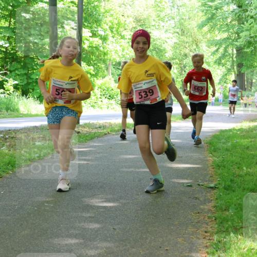 17.05.2025 - Störlauf Strokosch-Dieckow http://msf.ph/oto/7849760 17.05.2025 13:55:53 Laufen 5, 539, 662 meine-sportfotos.de