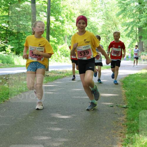 17.05.2025 - Störlauf Strokosch-Dieckow http://msf.ph/oto/7849762 17.05.2025 13:55:53 Laufen 50, 539, 662 meine-sportfotos.de