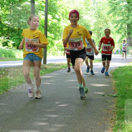 17.05.2025 - Störlauf Strokosch-Dieckow http://msf.ph/oto/7849764 17.05.2025 13:55:53 Laufen 502, 539, 66, 587, 662 meine-sportfotos.de