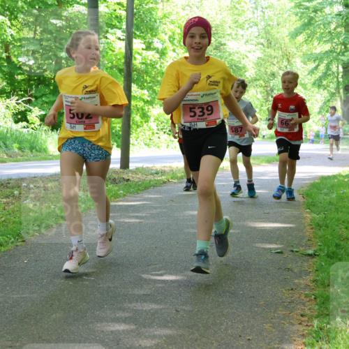 17.05.2025 - Störlauf Strokosch-Dieckow http://msf.ph/oto/7849766 17.05.2025 13:55:53 Laufen 502, 2021, 539, 587, 66 meine-sportfotos.de