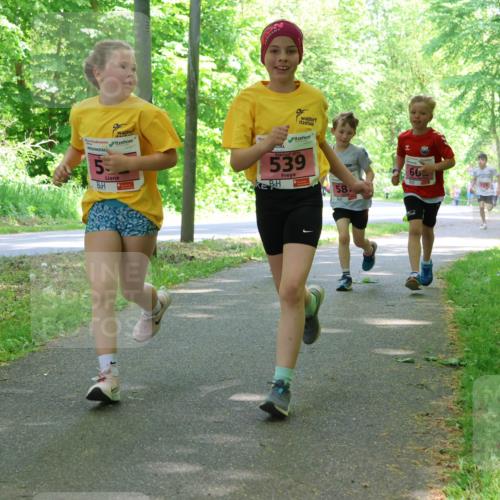 17.05.2025 - Störlauf Strokosch-Dieckow http://msf.ph/oto/7849768 17.05.2025 13:55:53 Laufen 5, 2025, 539, 58, 66 meine-sportfotos.de