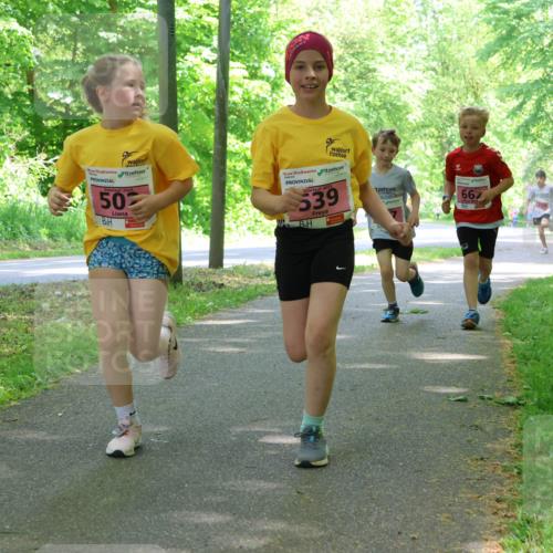 17.05.2025 - Störlauf Strokosch-Dieckow http://msf.ph/oto/7849770 17.05.2025 13:55:53 Laufen 2025, 50, 539, 667 meine-sportfotos.de
