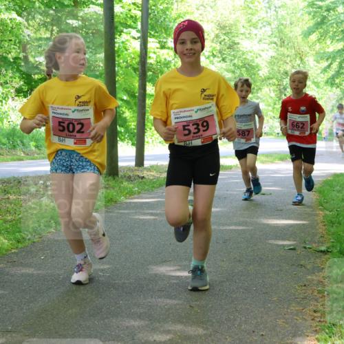 17.05.2025 - Störlauf Strokosch-Dieckow http://msf.ph/oto/7849772 17.05.2025 13:55:53 Laufen 502, 5, 2025, 539, 587, 662 meine-sportfotos.de