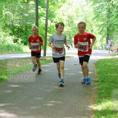 17.05.2025 - Störlauf Strokosch-Dieckow http://msf.ph/oto/7849774 17.05.2025 13:55:54 Laufen 662, 666, 587 meine-sportfotos.de