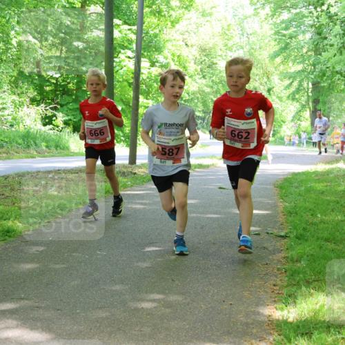 17.05.2025 - Störlauf Strokosch-Dieckow http://msf.ph/oto/7849776 17.05.2025 13:55:55 Laufen 666, 587, 662 meine-sportfotos.de
