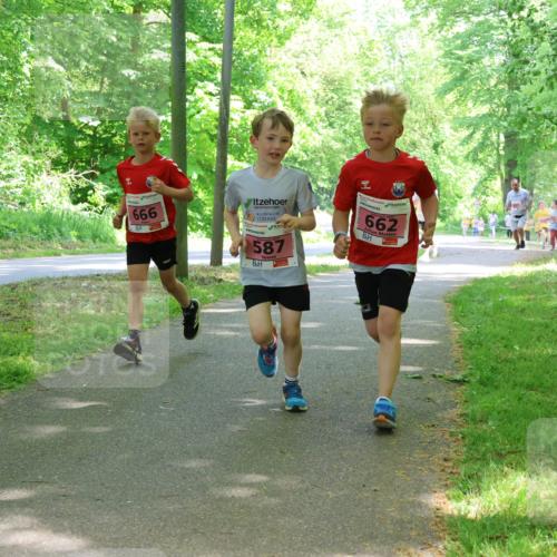 17.05.2025 - Störlauf Strokosch-Dieckow http://msf.ph/oto/7849778 17.05.2025 13:55:55 Laufen 666, 587, 662 meine-sportfotos.de