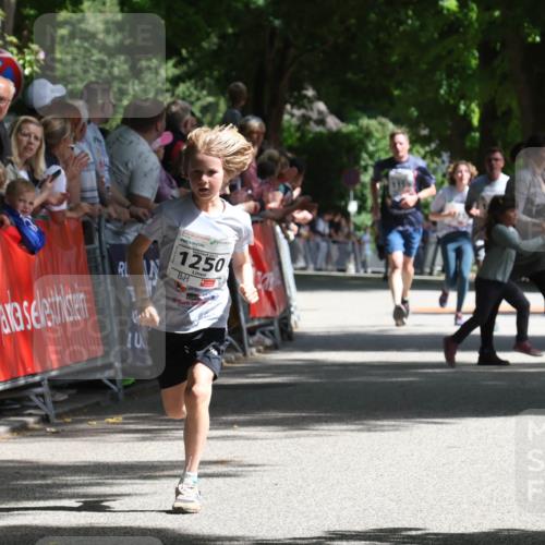 17.05.2025 - Störlauf Strokosch-Dieckow http://msf.ph/oto/7849779 17.05.2025 14:40:15 Ziel 40, 2025, 1250 meine-sportfotos.de