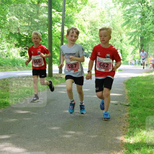 17.05.2025 - Störlauf Strokosch-Dieckow http://msf.ph/oto/7849780 17.05.2025 13:55:55 Laufen 666, 587, 2, 662 meine-sportfotos.de