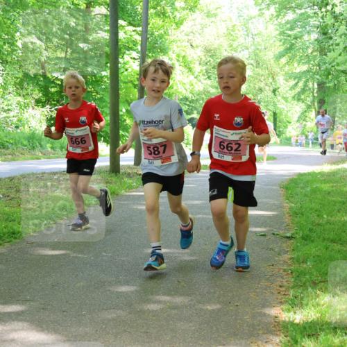 17.05.2025 - Störlauf Strokosch-Dieckow http://msf.ph/oto/7849782 17.05.2025 13:55:55 Laufen 666, 587, 662 meine-sportfotos.de