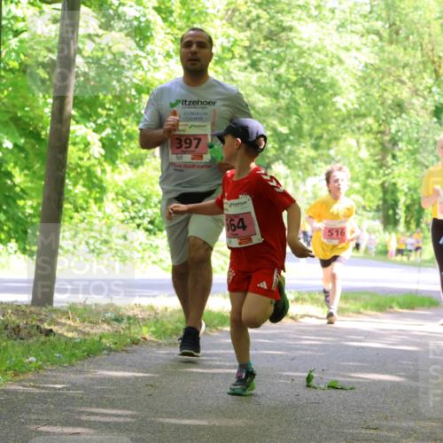 17.05.2025 - Störlauf Strokosch-Dieckow http://msf.ph/oto/7849797 17.05.2025 13:56:00 Laufen 397, 664, 516, 542, 14 meine-sportfotos.de