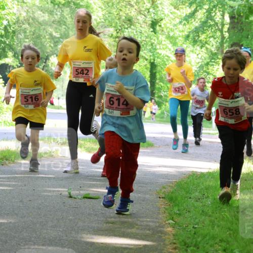 17.05.2025 - Störlauf Strokosch-Dieckow http://msf.ph/oto/7849801 17.05.2025 13:56:02 Laufen 516, 542, 524, 403, 20, 614, 9, 658, 629 meine-sportfotos.de