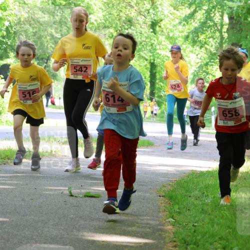 17.05.2025 - Störlauf Strokosch-Dieckow http://msf.ph/oto/7849803 17.05.2025 13:56:02 Laufen 515, 542, 614, 524, 403, 2025, 658, 629 meine-sportfotos.de