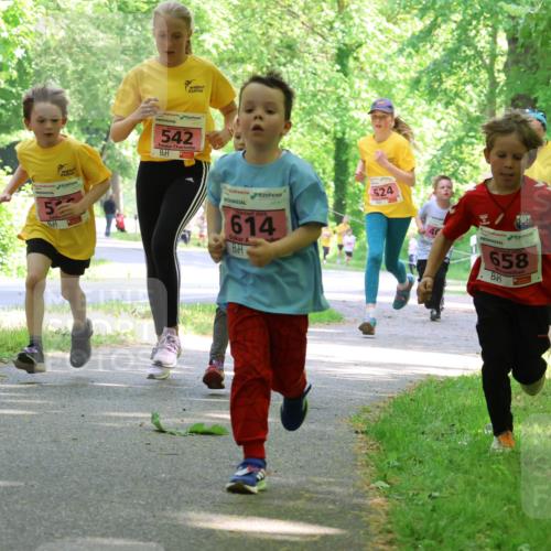 17.05.2025 - Störlauf Strokosch-Dieckow http://msf.ph/oto/7849805 17.05.2025 13:56:02 Laufen 52, 542, 614, 524, 658, 629 meine-sportfotos.de