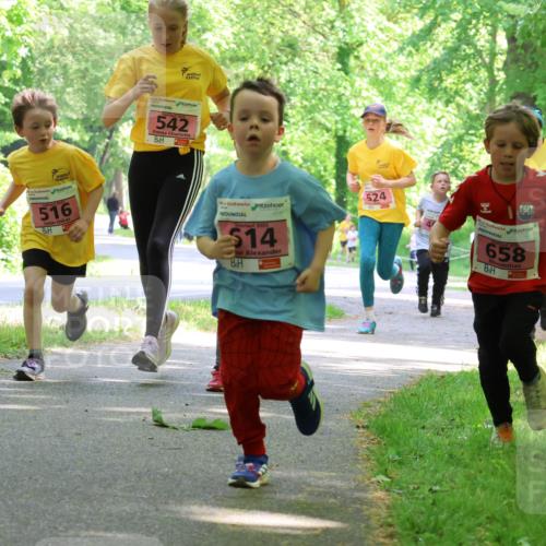 17.05.2025 - Störlauf Strokosch-Dieckow http://msf.ph/oto/7849807 17.05.2025 13:56:02 Laufen 516, 542, 2025, 14, 524, 90, 658, 629 meine-sportfotos.de