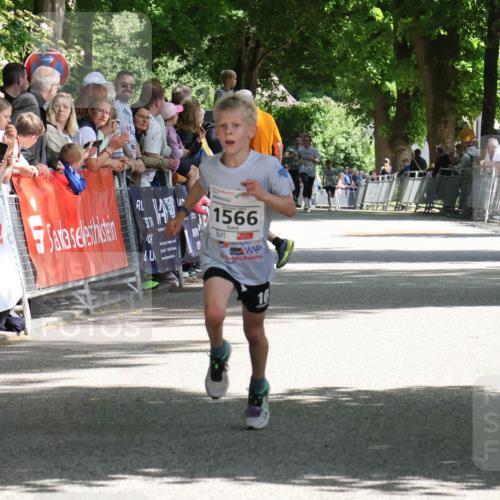 17.05.2025 - Störlauf Strokosch-Dieckow http://msf.ph/oto/7849817 17.05.2025 14:40:33 Ziel 1566, 10 meine-sportfotos.de