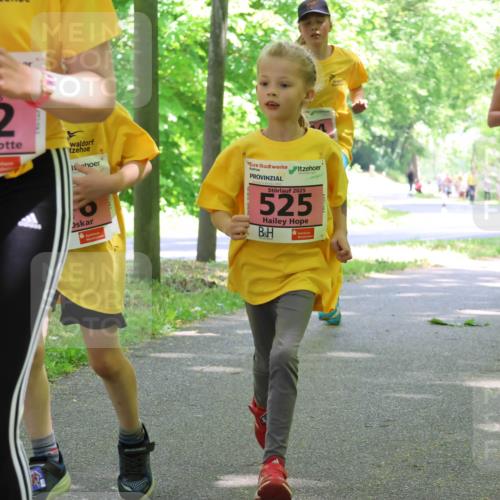17.05.2025 - Störlauf Strokosch-Dieckow http://msf.ph/oto/7849818 17.05.2025 13:56:05 Laufen 2025, 542, 2025, 525, 546, 627 meine-sportfotos.de