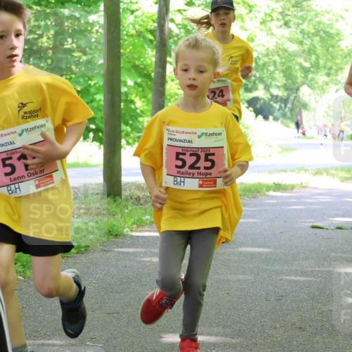 17.05.2025 - Störlauf Strokosch-Dieckow http://msf.ph/oto/7849821 17.05.2025 13:56:05 Laufen 51, 24, 2025, 525, 546 meine-sportfotos.de