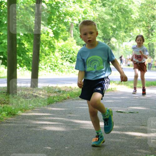 17.05.2025 - Störlauf Strokosch-Dieckow http://msf.ph/oto/7849843 17.05.2025 13:56:12 Laufen 394, 382 meine-sportfotos.de