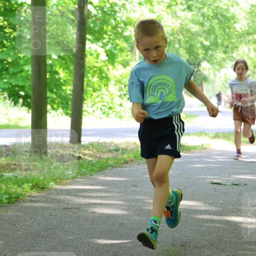 17.05.2025 - Störlauf Strokosch-Dieckow http://msf.ph/oto/7849848 17.05.2025 13:56:12 Laufen 394, 382 meine-sportfotos.de