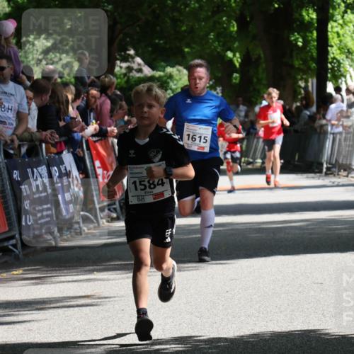 17.05.2025 - Störlauf Strokosch-Dieckow http://msf.ph/oto/7849851 17.05.2025 14:41:06 Ziel 40, 1584, 1615 meine-sportfotos.de