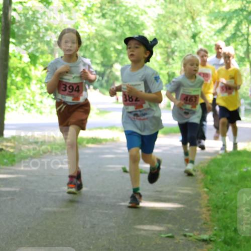 17.05.2025 - Störlauf Strokosch-Dieckow http://msf.ph/oto/7849852 17.05.2025 13:56:15 Laufen 394, 382, 463 meine-sportfotos.de